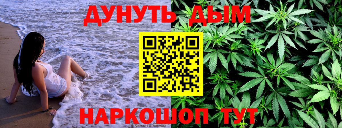 Шишки марихуана гибрид  Конопля планчик  Элиста  Марихуана MAZAR  Вход с VPN 